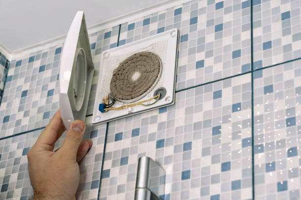 Best Home Air Vent Cleaning  in Saranac, MI