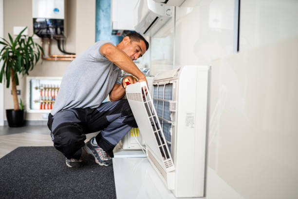 Best Air Duct Cleaning Near Me  in Saranac, MI
