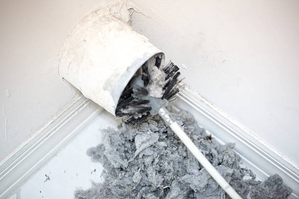 Best Air Duct Cleaning Near Me  in Saranac, MI
